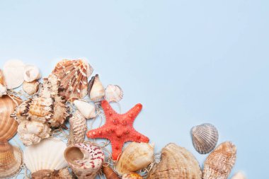 Deniz yıldızının üst görüntüsü, mavi arkaplandaki kabuklar ve fotokopi alanı. Yaz plajı, tatil konsepti