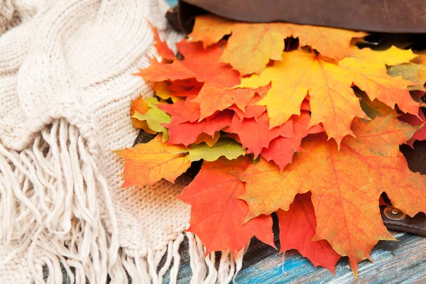 Autumn Background Yellow Orange Leaves Bag Knitted Sweater — Stock Photo, Image