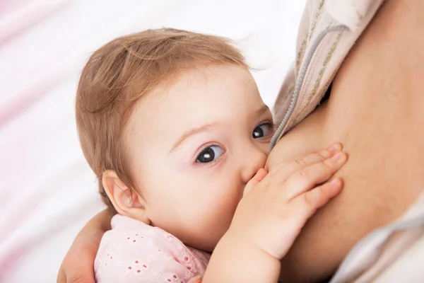 Bebé Come Peito Mãe Aleitamento Conceito Amamentação — Fotografia de Stock