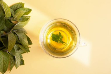 Şifalı bitki nanesi ve sarı arka planda nane çayı. Bitkisel Tedavi Konsepti