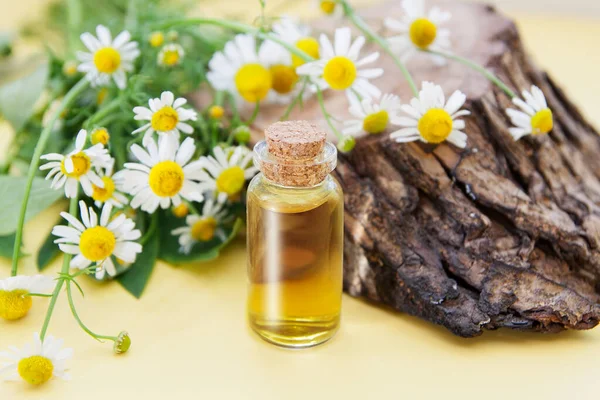 Tincture Essence Chamomile Flowers Natural Cosmetic Mini Bottle Liquid Background — Stock Photo, Image