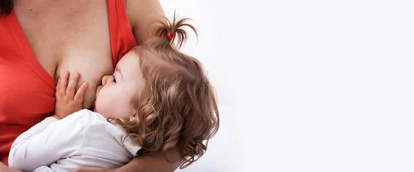 Mãe Está Amamentar Bebé Espaço Para Cópia Banner — Fotografia de Stock