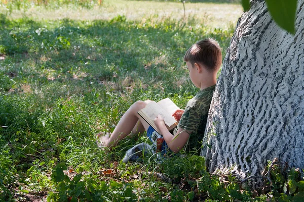 一个9岁的男孩在大自然的树下看书 数码排毒 家庭生活 — 图库照片