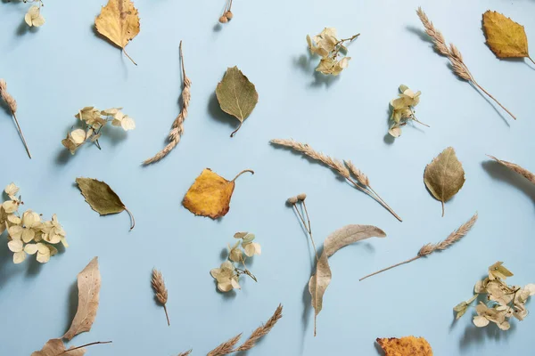 Mavi arka planda sonbahar temalı bir desen. Sarı yapraklar, kuru bitkiler..