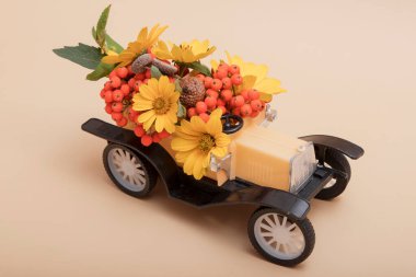 Rowan 'lı bir oyuncak arabanın dekoratif sonbahar kompozisyonu, çiçekler ve yapraklar, meşe palamutları. Hasat konsepti, doğal bolluk, Şükran Günü.