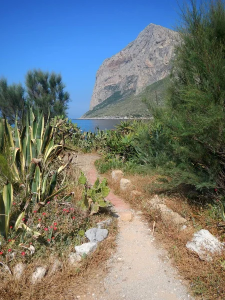 Vandring Genom Punta Barcarello Fantastisk Inblick Naturreservatet Capo Gallo — Stockfoto