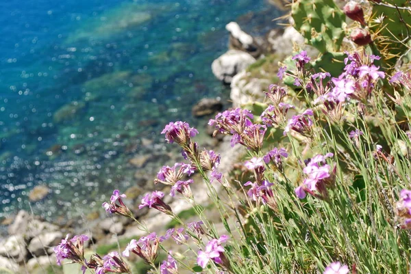 色の海のカポ ミラッツォ はこの素晴らしい海岸の明るい色でカポ ミラッツォ メッシーナ イタリア からはがきを垣間見ること — ストック写真