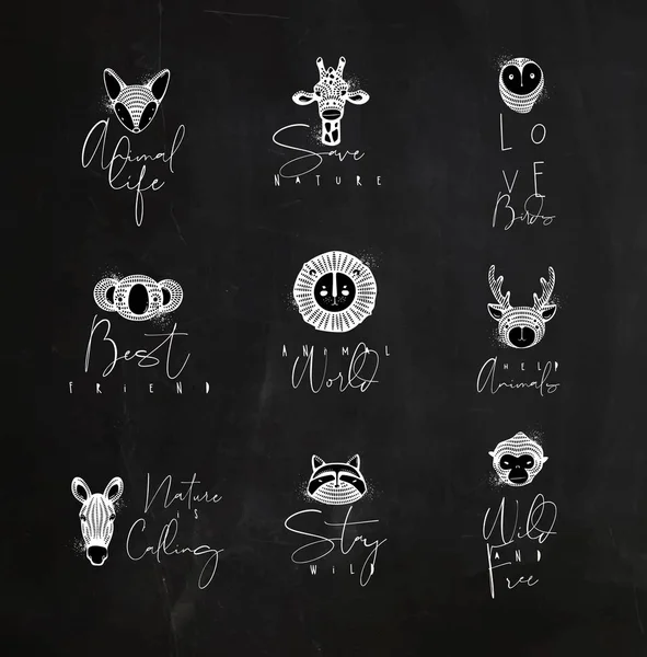 Set of animals authentic graphic signs fox, giraffe, owl, panda, lion, antelope, horse, cat, monkey with lettering drawing with chalk on chalkboard background