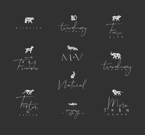 Set Animals Mini Floral Graphic Signs Bear Fish Monkey Fox — Stock Vector