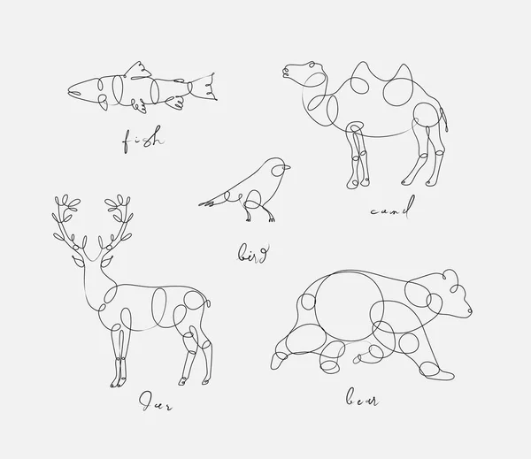 Ensemble Animaux Poisson Chameau Oiseau Cerf Ours Dessin Dans Style — Image vectorielle