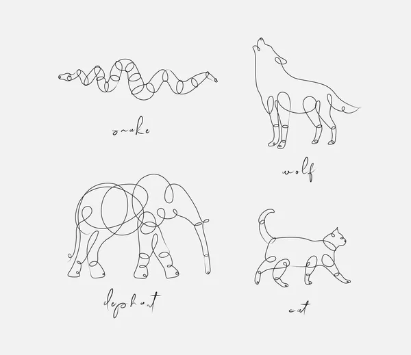 Conjunto Animales Serpiente Lobo Elefante Dibujo Gato Estilo Línea Pluma — Vector de stock