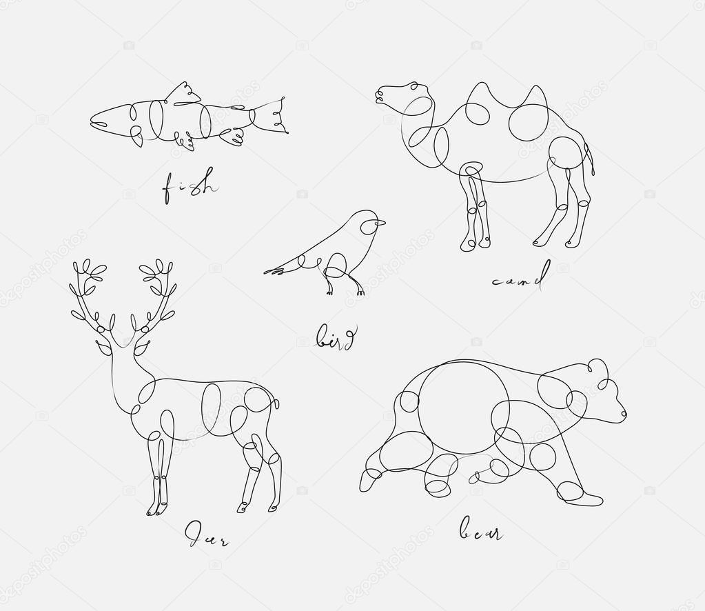 Set of animals fish, camel, bird, deerm bear drawing in pen line style on light background