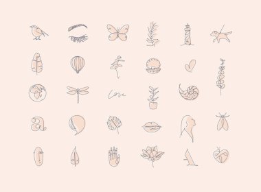 Modern kalem çizgi grafik elemanları bej