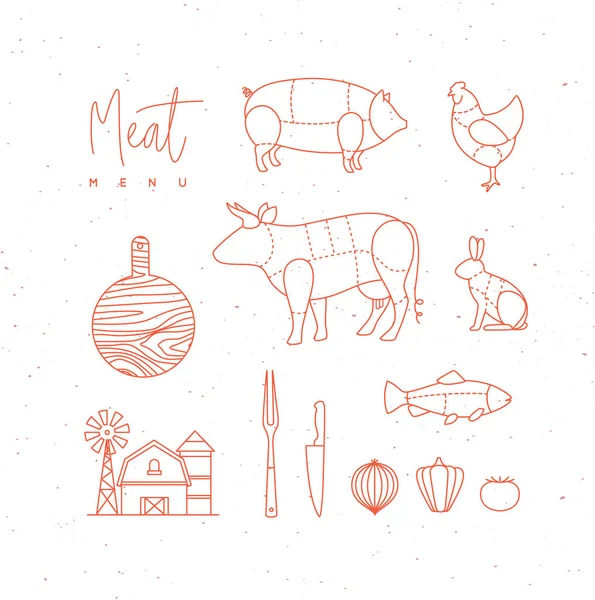 Vlees menu platte ontwerp elementen — Stockvector