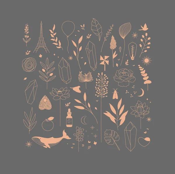 Conjunto Diferentes Elementos Decorativos Con Ramas Flores Animales Varios Objetos — Vector de stock