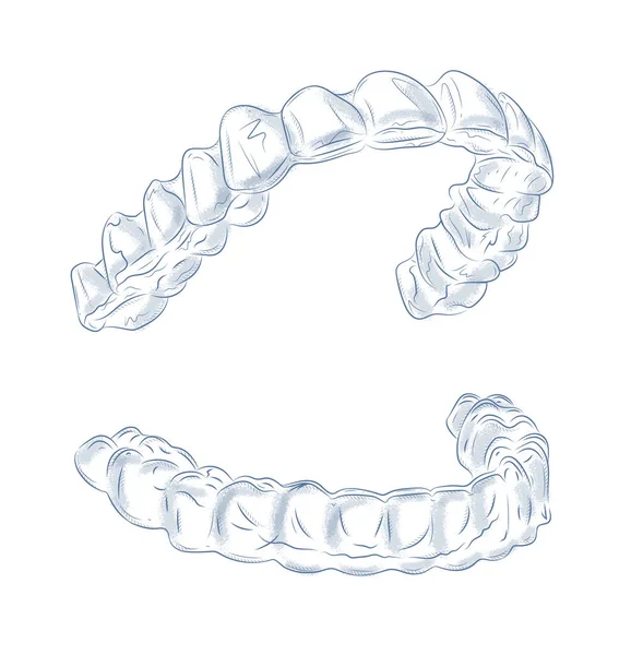 Üst ve alt dişler için diş beyazlatma tepsisi beyaz arka planda mavi ile grafik biçiminde çizim.