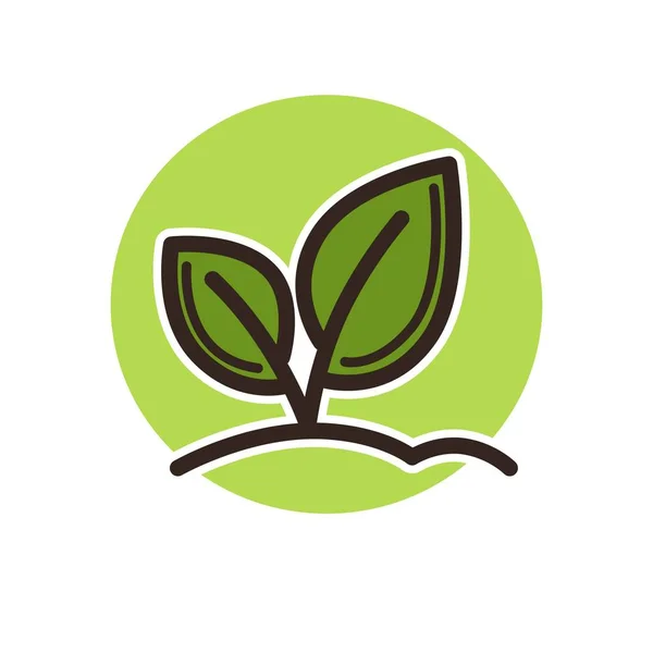 地面から成長する茎の葉を持つ植物アイコン プロモーション ロゴを芽します エコロジーのシンボルとして緑ラウンド ホワイト バック グラウンドの分離された商業のエンブレム漫画フラット ベクトル図 — ストックベクタ