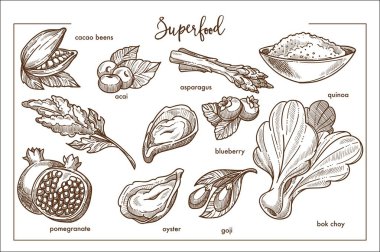 Acı kakao çekirdekleri, egzotik acai, yeşil kuşkonmaz, quinoa yulaf lapası, tatlı yaban mersini, taze bok choy, goji Karpuzu, çiğ istiridye ve olgun nar dalı kase.