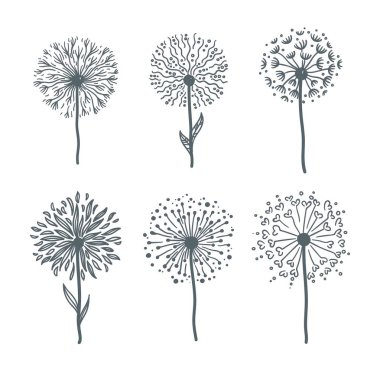 İnce kaynaklanıyor tek renkli çizimler üzerinde ihale dandelions ayarla.