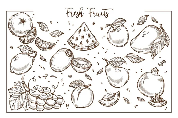 Taze tatlı meyve bütün ve dilimleri tek renkli koleksiyonu.