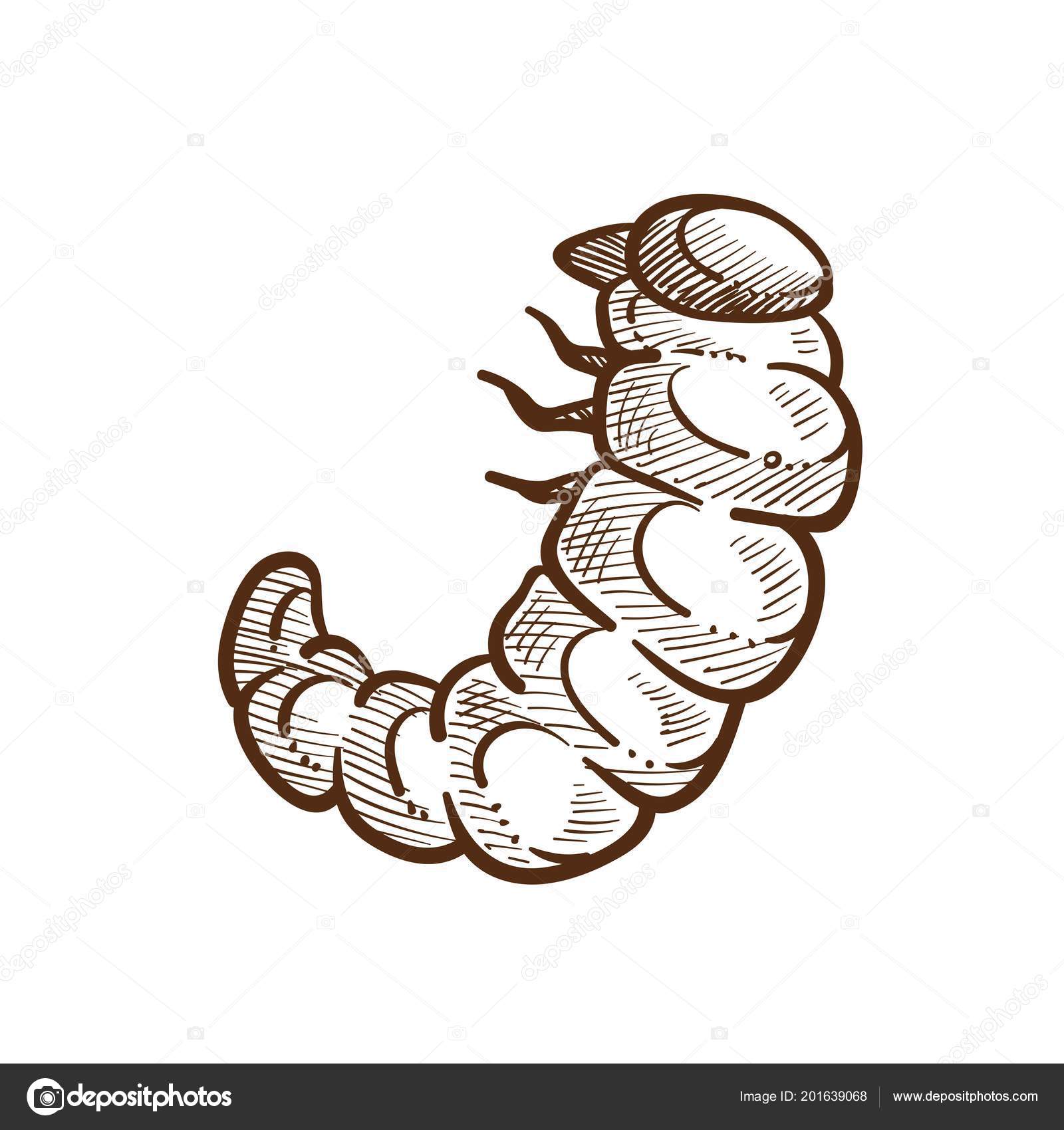 caterpillar outline