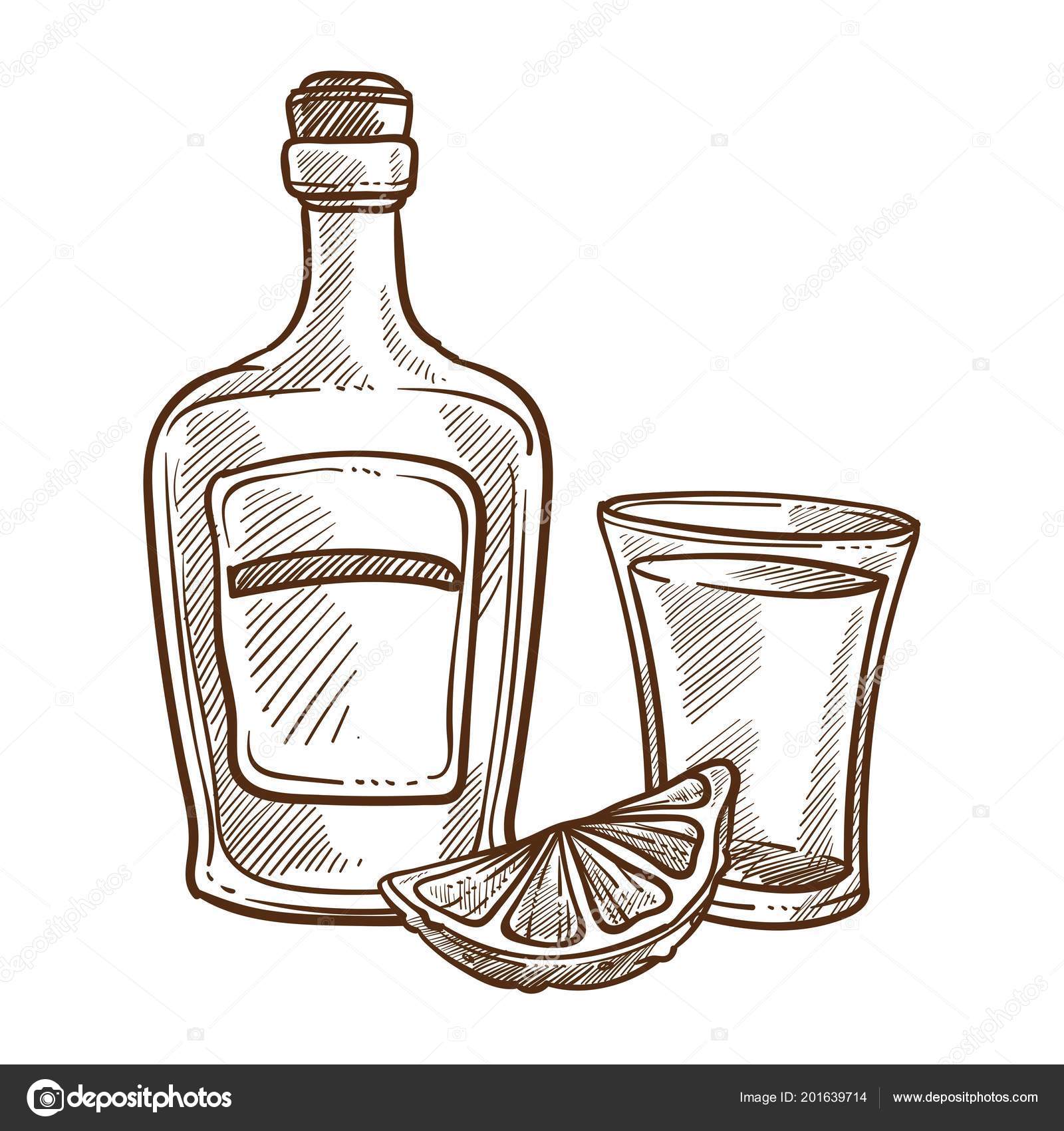 Tequila Bottle Glass Lime Slice Monochrome Sketch Outline Traditional