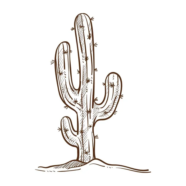 Planta Cactus Mexicano Esquema Boceto Monocromo Planta Que Crece Postres — Vector de stock