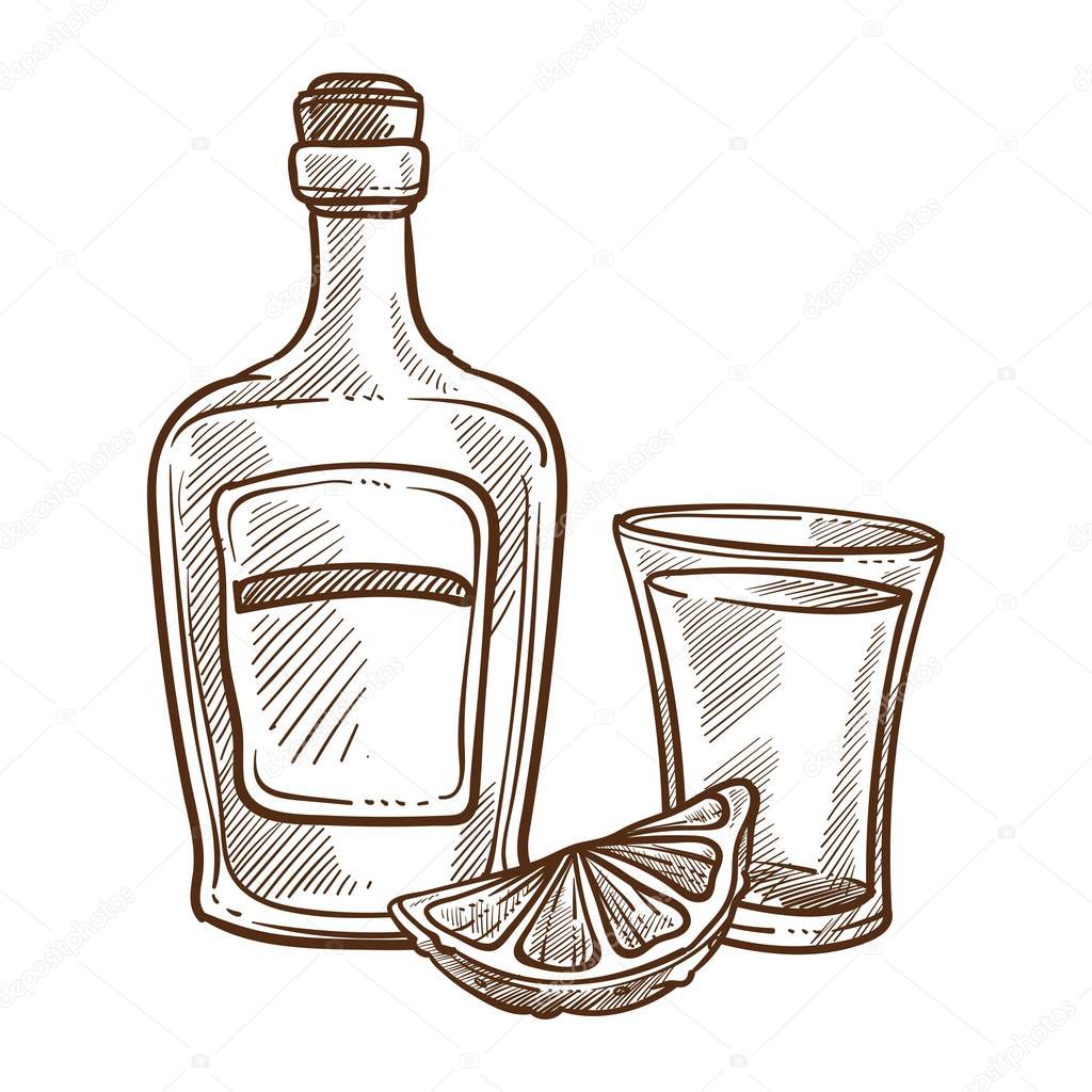 Tequila bottle and glass with lime slice monochrome sketch outline, traditional mexican beverages. Alcoholic drink spirituous booze labeled container vector illustration isolated on white background
