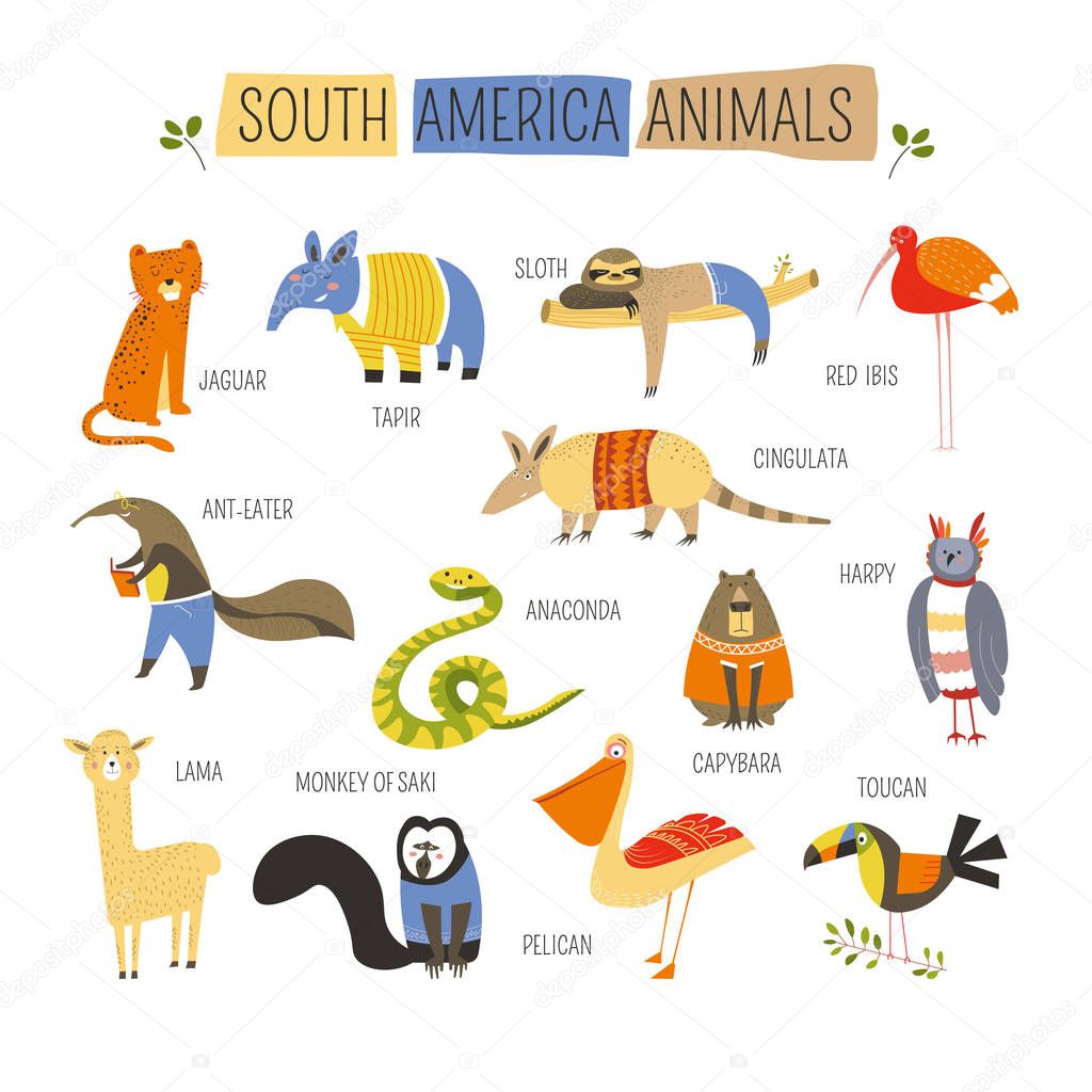 Cartoon South American animals and birds for kids design. Vector funny zoo of jaguar, tapir or sloth and cingulata or red ibis with harpy and capybara or toucan and pelican