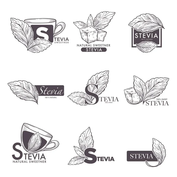 Feuilles Stévia Tasses Thé Café — Image vectorielle