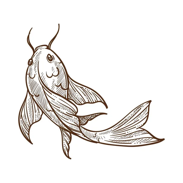 Золотая Рыба Большими Плавниками Плавающий Монохромный Эскиз — стоковый вектор