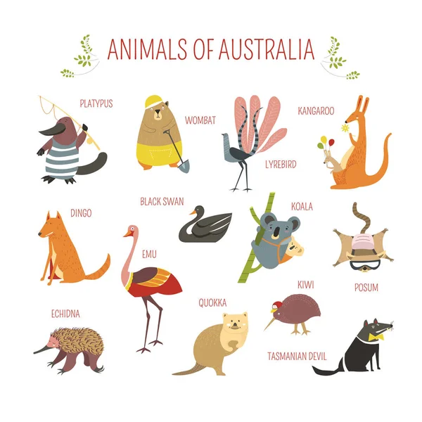 Australian Animals Birds Sketch Stock Illustration