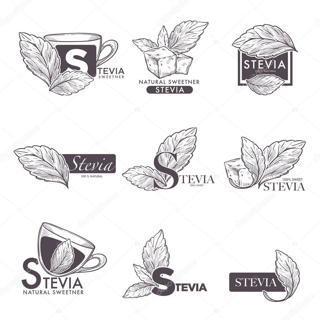 Stevia leaves and tea or coffee cups