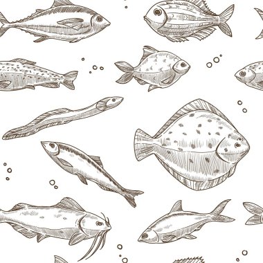 nehir sazan, okyanus pisi balığı veya deniz ringa balığı, ton balığı ya da yayın balığı ve alabalık balıklar ile yılan balığı sorunsuz tasarım