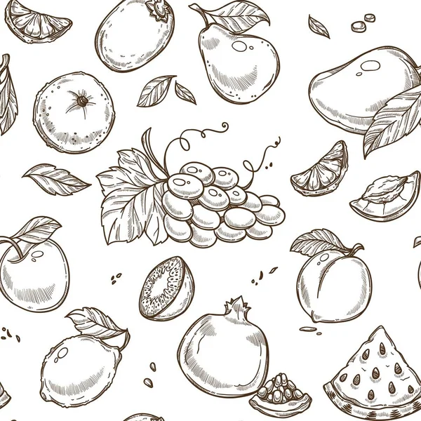 Modèle Croquis Fruits Sur Fond Blanc — Image vectorielle