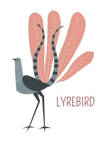 Lyrebird Cartoon Funny Cute Bird Vector Australian New Zealand Animals — Stock Vector