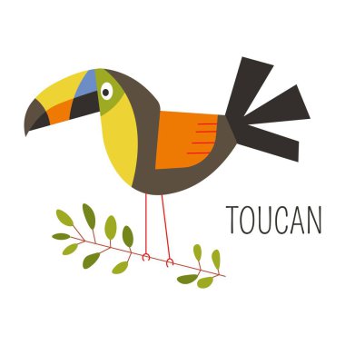 Şube toucan kuş 