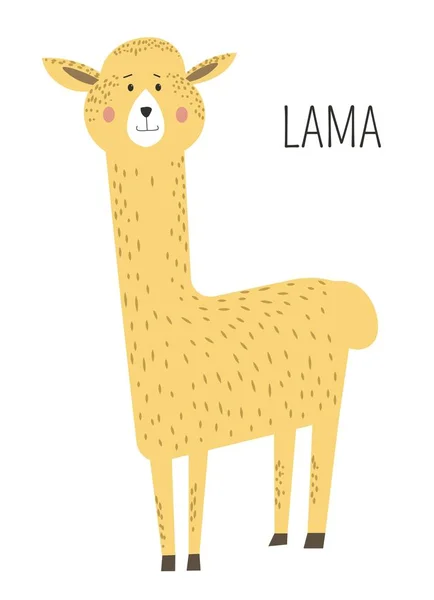 Lama com longo pescoço personagem de desenho animado — Vetor de Stock