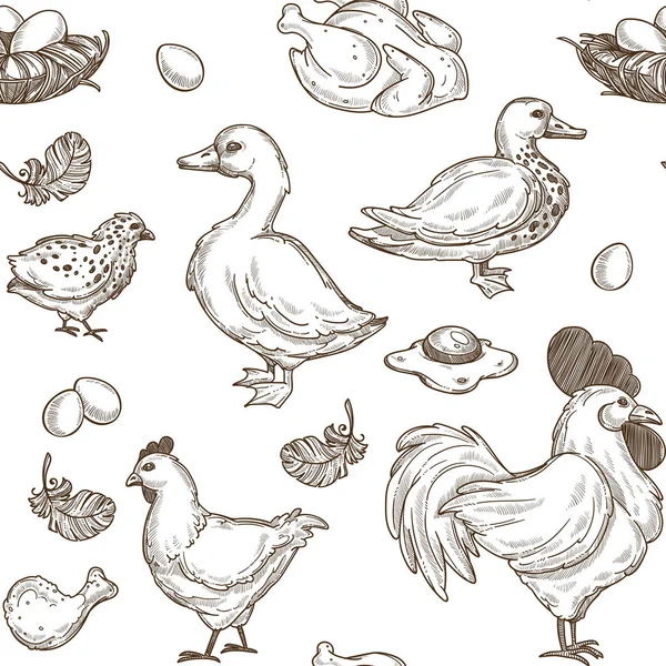 鸡鸭素描图案背景 小鸡羽毛和鸡蛋的鸡鸡和公鸡的矢量无缝农场家禽鸡 — 图库矢量图片