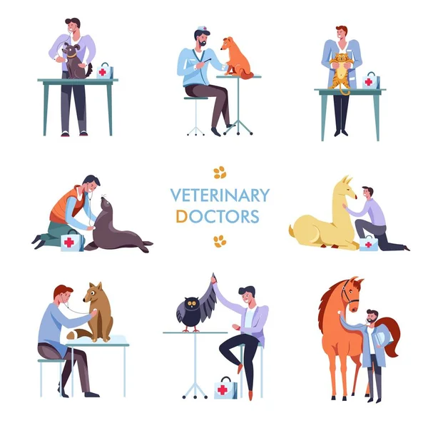 Veterinaire Artsen Met Dieren Vector Icons Witte Achtergrond — Stockvector