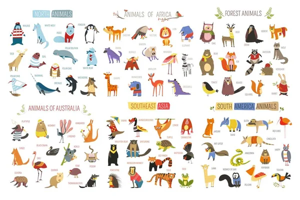 Conjunto Iconos Animales Dibujos Animados Aves Diferentes Continentes — Vector de stock