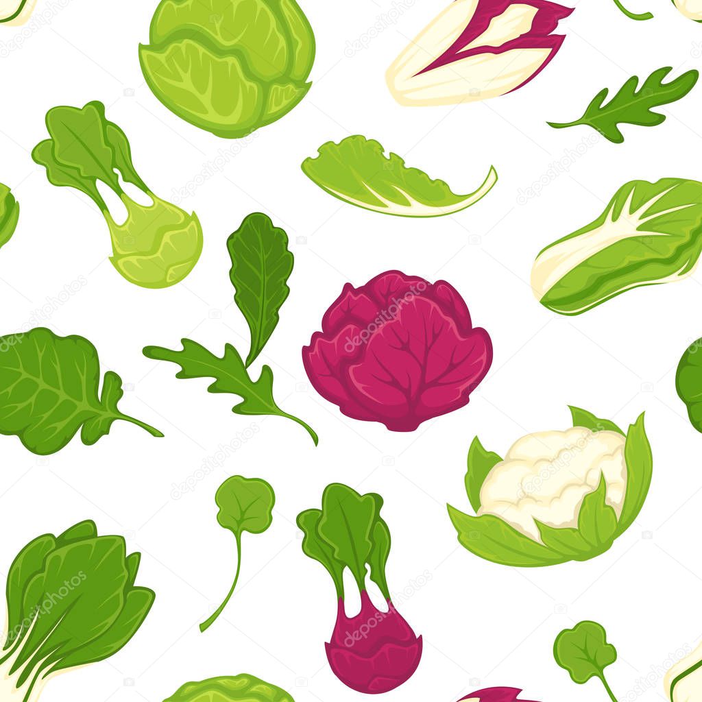 Salad lettuces and cabbage vegetables seamless vector pattern