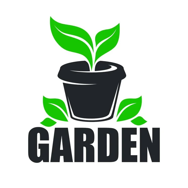 Planta Verde Jardim Crescendo Vaso Vetor Ícone Isolado Com Texto — Vetor de Stock