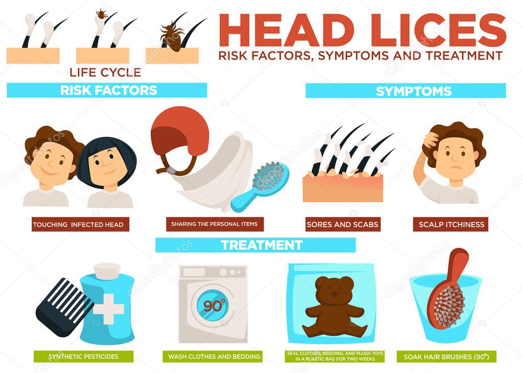 Head lice risk factors symptoms and treatment poster with text vector. Touching infected person, sharing personal items, sores and scabs and scalp itchiness. Synthetic pesticides and clothes washing