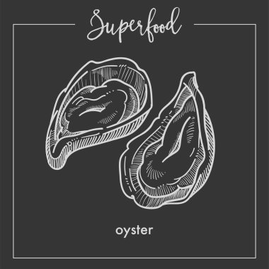 Sert kabuklu tek renkli superfood sepya lezzetli doğal istiridye kroki