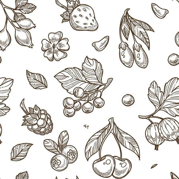 Modèle Sans Couture Fruits Isolé Sur Fond Blanc — Image vectorielle