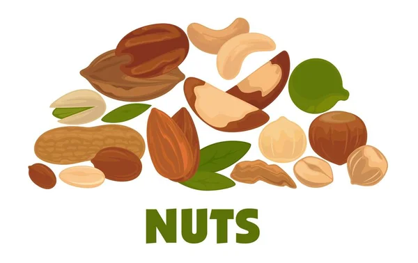 Deliciosos Nueces Nutritivas Anuncio Banner — Archivo Imágenes Vectoriales