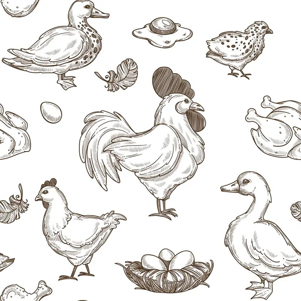 鸡鸭剪影图案背景 — 图库矢量图片