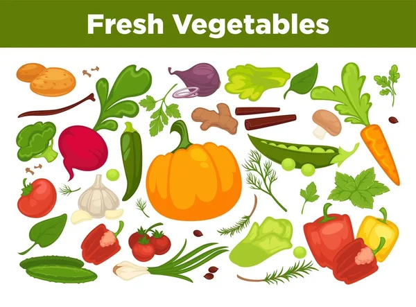 Čerstvá Zelenina Reklama Bio Zdravé Vegetariánské Produkty Zelení Farmy Plné — Stockový vektor