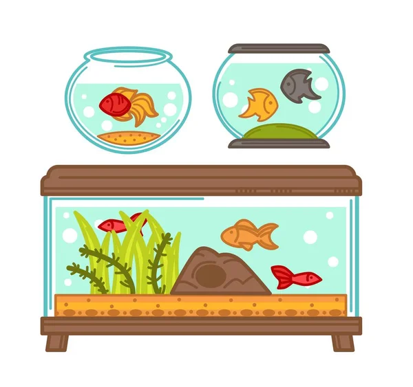 水族馆集与动植物在玻璃容器充满水 石头和植物装饰物 金鱼和蜗牛漂浮在里面 不同的箱子为动物媒介例证 — 图库矢量图片